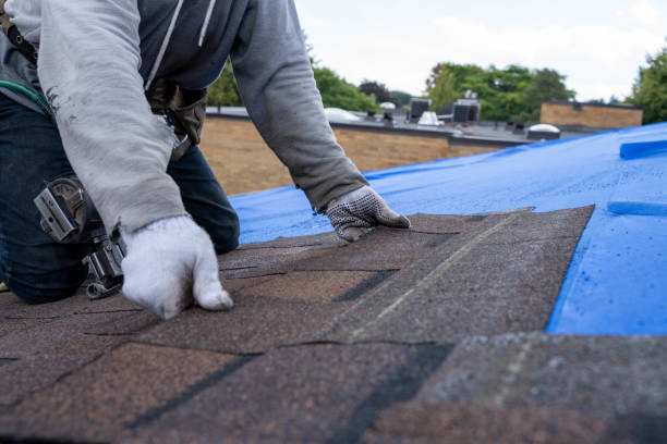 Best Commercial Roofing Services  in Wakefield, VA
